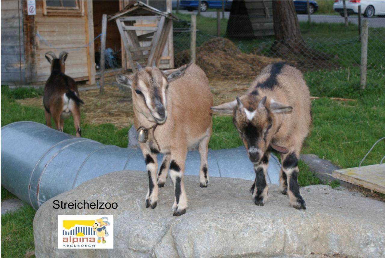 Ferien- Und Familienhotel Alpina Adelboden Dış mekan fotoğraf