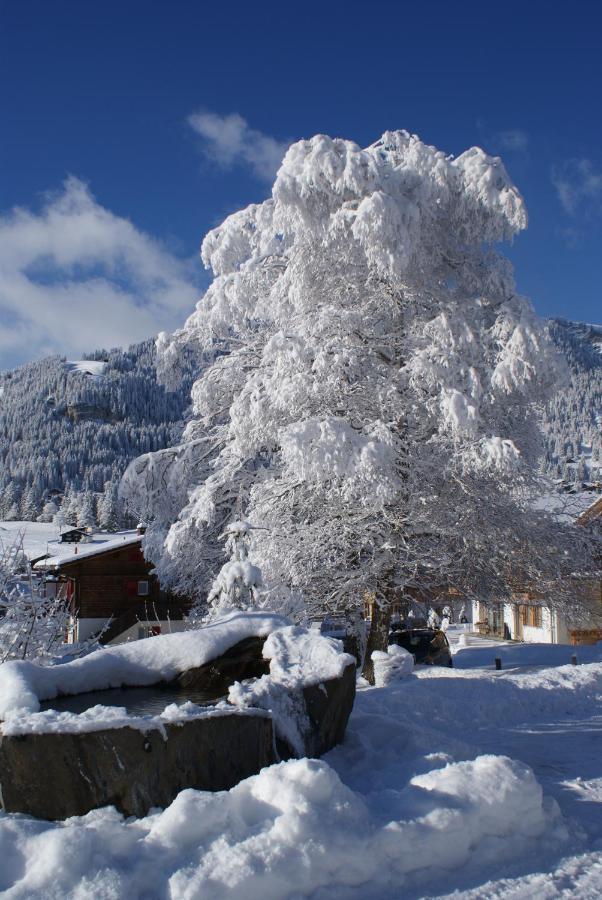 Ferien- Und Familienhotel Alpina Adelboden Dış mekan fotoğraf