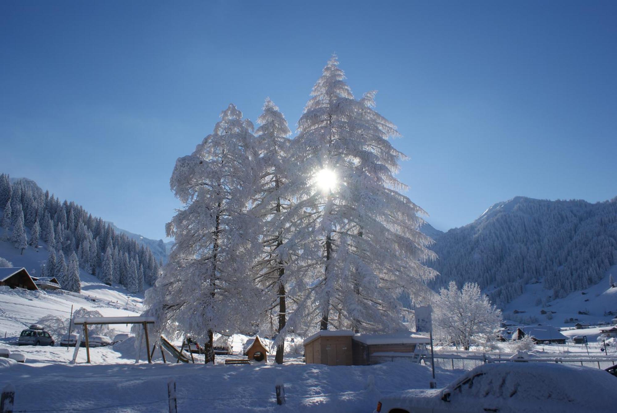 Ferien- Und Familienhotel Alpina Adelboden Dış mekan fotoğraf